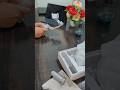 DIGITEK 3AXIS FOLDABLE SMARTPHONE GIMBAL DSG007F #digitek #unboxing #digitektripod #smartphoneholder