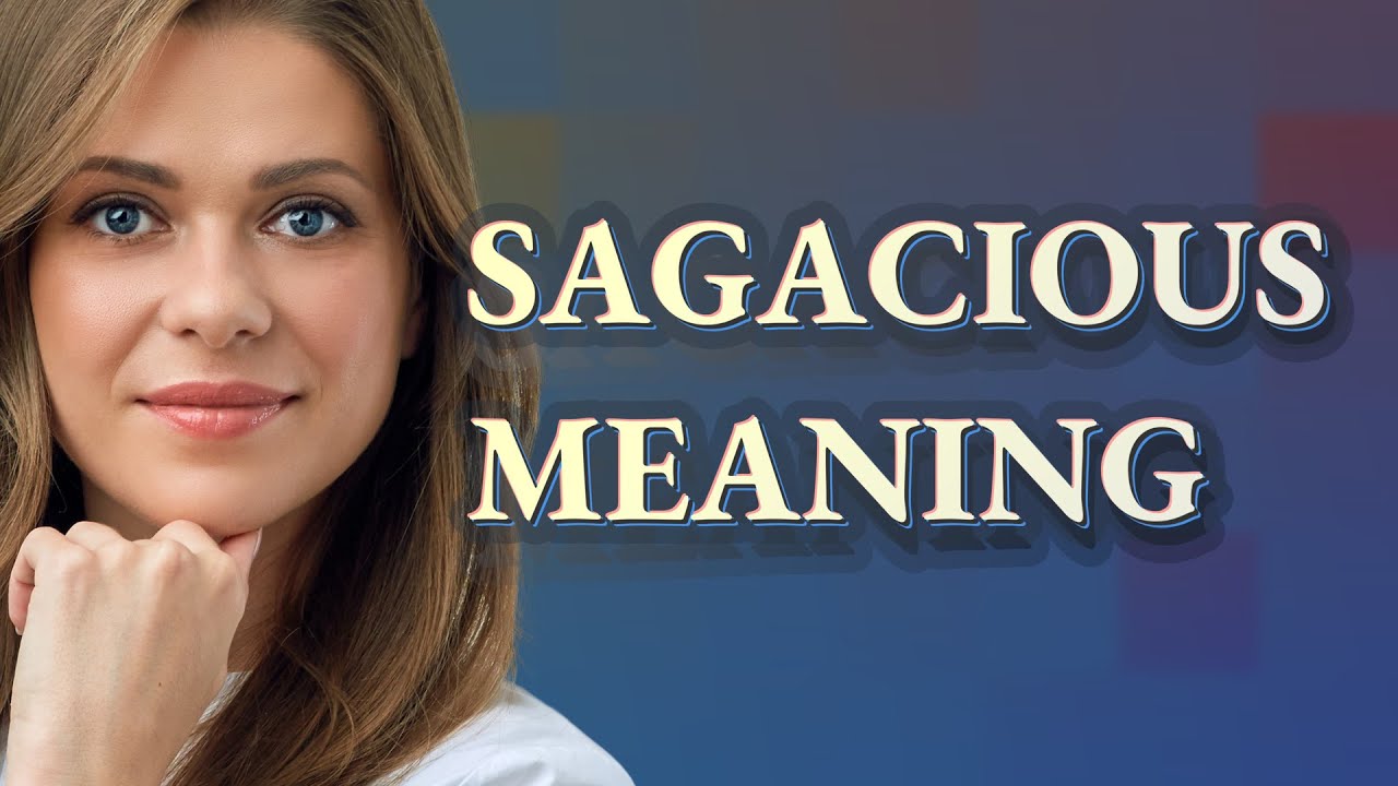 Sagacious | meaning of Sagacious