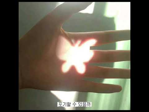 Mrs. green apple (미세스 그린 애플) - 禁じた遊び (금지된 놀이) 한국어 가사 번역