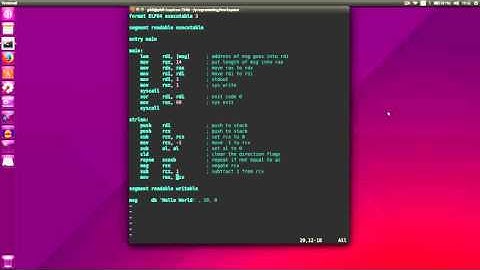 Fasm 1 - String Length