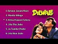 Dilwale Movie All Songs, Ajay Devgan, Raveena Tandon, Sunil Shetty, Hindi Movie Song