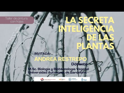 La secreta inteligencia de las plantas