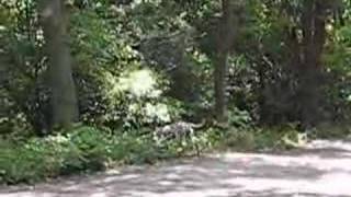 Beautiful Day With Bread