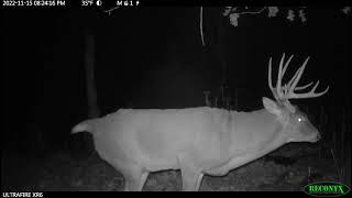 Deer Fart Caught On Trail Cam...or is it?