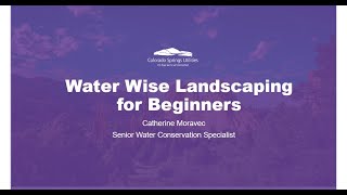 Water-Wise Landscaping for Beginners