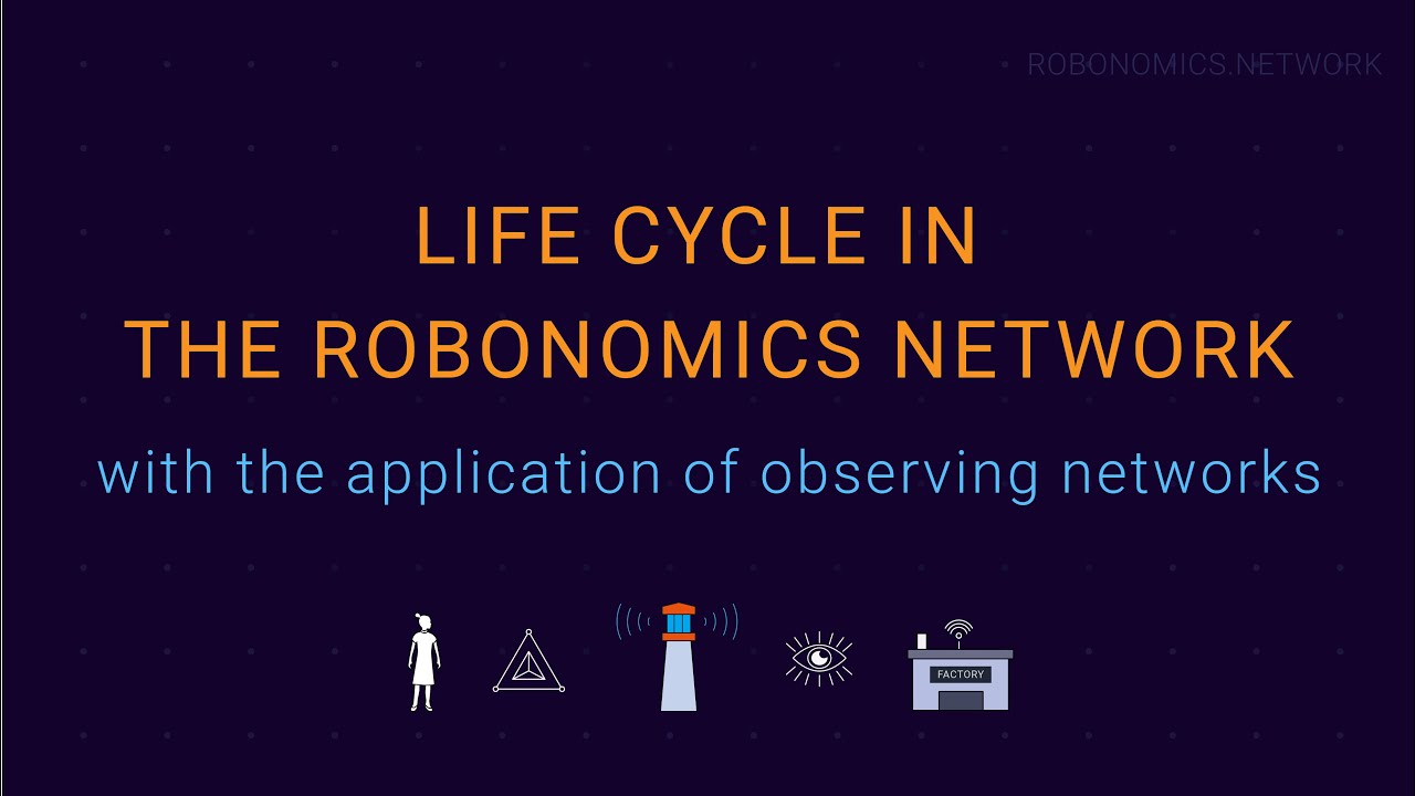 Life cycle in the Robonomics network with the application of observing networks