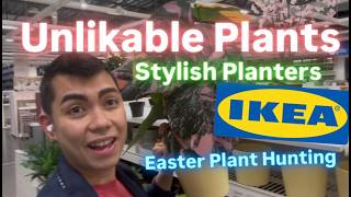 Happy Easter! Ikea Big Box Store Spring Decor Stylish Planters and Unkillable Plants Best Deals!