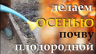 Поливаю осенью почву этим средством для плодородия и защиты от болезней