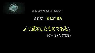 ダーウィン Youtube