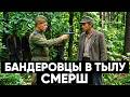 БАНДЕРОВЦЫ В СОВЕТСКОМ ТЫЛУ ОХОТА СМЕРШ В ЗАПАДНОЙ УКРАИНЕ БАНДЕРОВЦЫ В СОВЕТСКОМ ТЫЛУ ОХОТА СМЕРШ В ЗАПАДНОЙ УКРАИНЕ