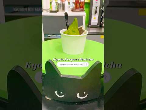 말차덕후성지🍵 교토 퍼펙트 말차 고양이 아이스크림😻 수원역 놀거리 카페 추천