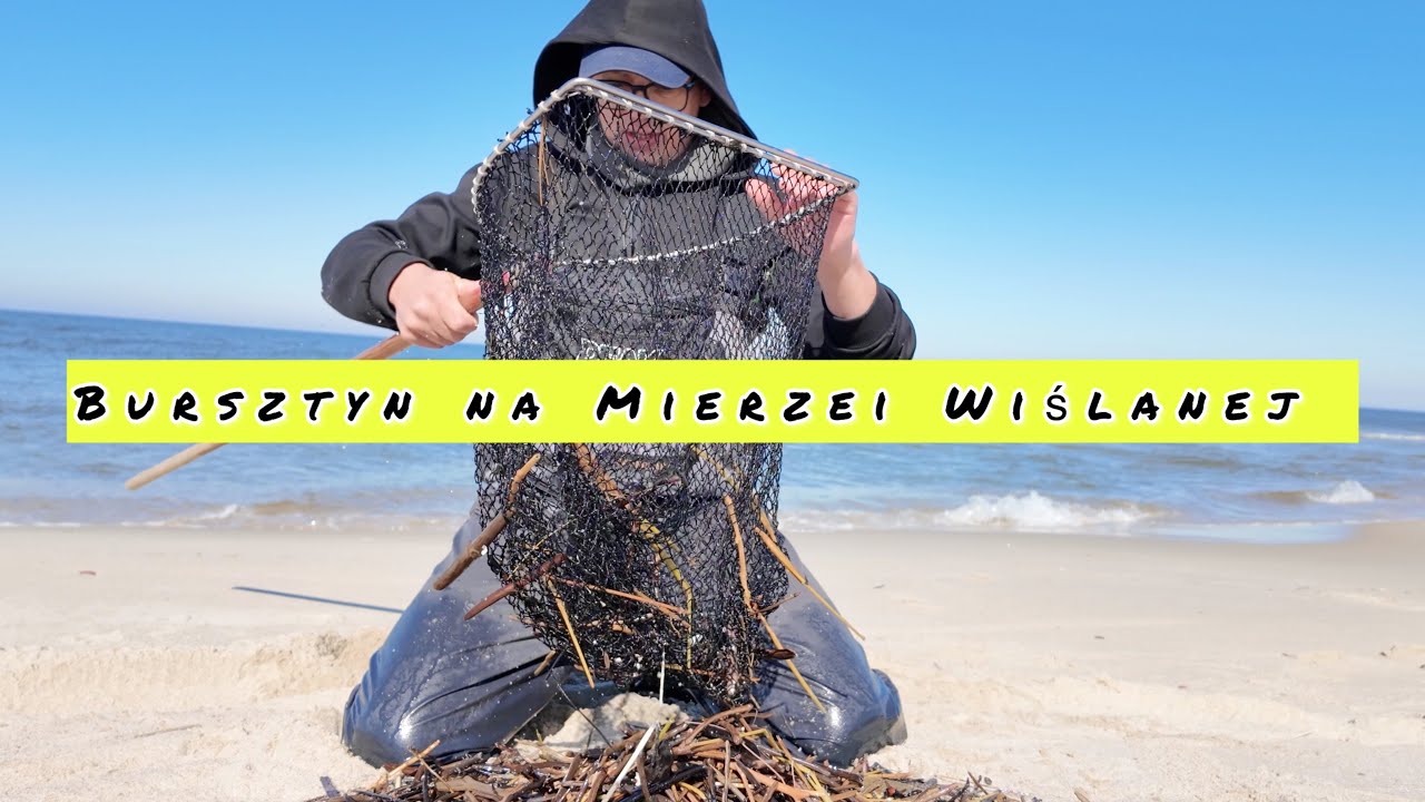 Bursztyn sezon trwa na Mierzei Wiślanej