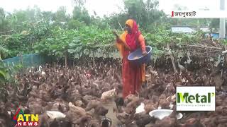 হাঁসের খামারে ভাগ্য বদল | Joypurhat Duck Hatchery | ATN News screenshot 1