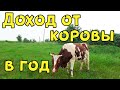 КАКОЙ ДОХОД ОТ ОДНОЙ КОРОВЫ ЗА ГОД? Коровы это выгодно!