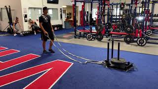 Dynamic Sled Row