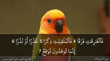 الصفحة 580 سورتيّ الإنسان والمرسلات بصوت القارئ المهندس أحمد فايز الحراسيس