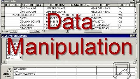 Samples of data manipulation in the Access query window  ~ DataPig