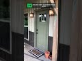 Top 5 Outdoor String Lights 2026 #shorts