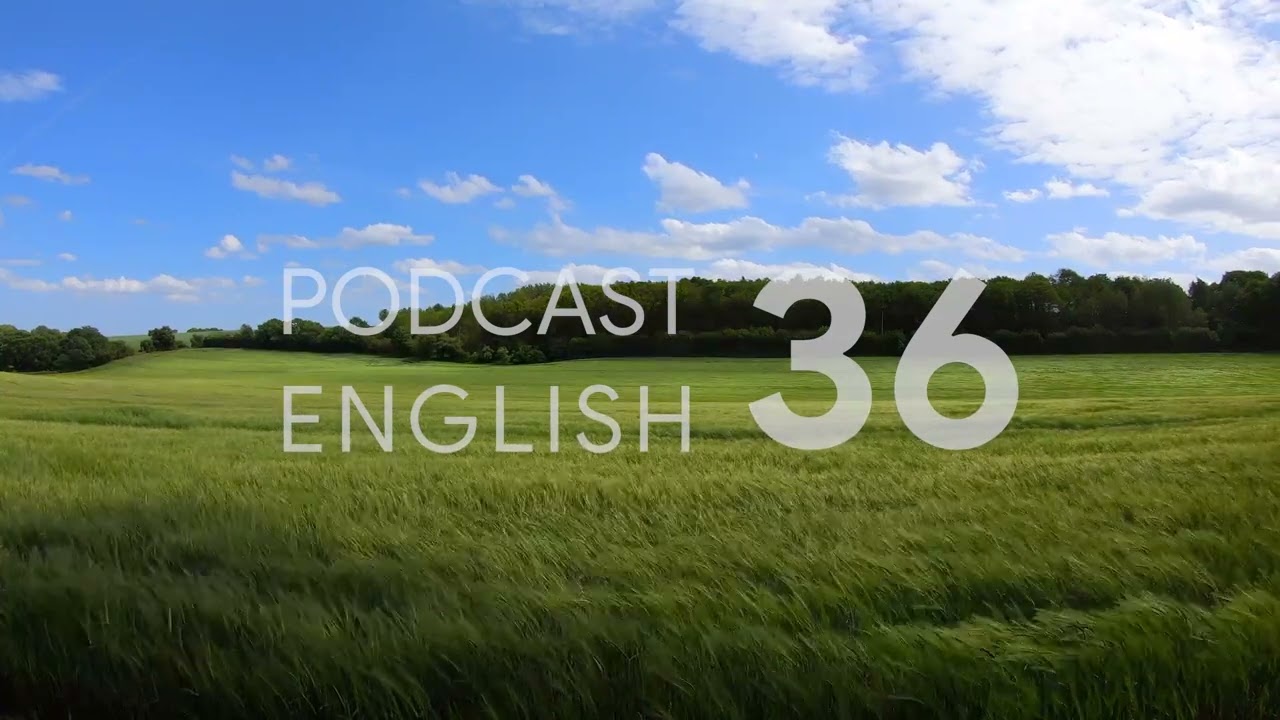 ⁣Podcast English - Luyện Nghe Tiếng Anh Mỗi Ngày - No.36