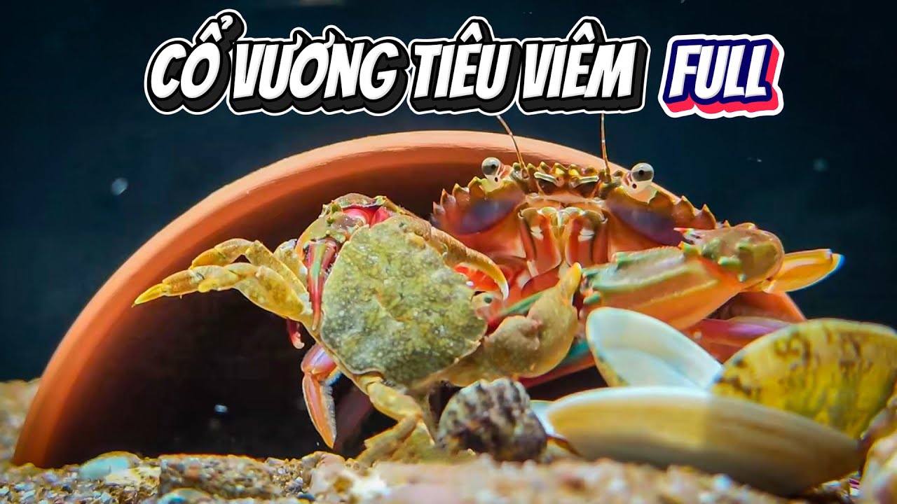 Full Trọn Bộ Cổ Vương Tiêu Viêm | Đại Chiến Yêu Thú