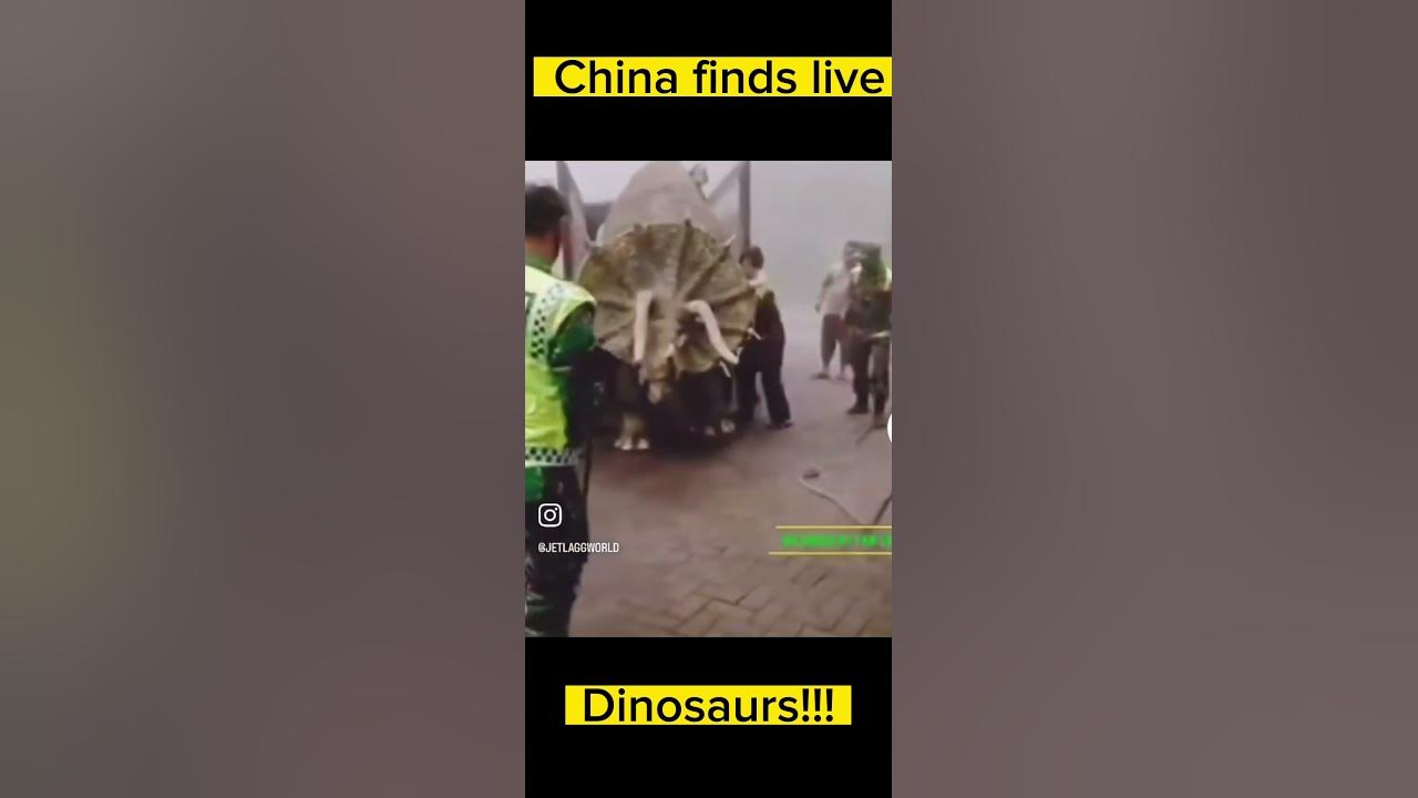 China finds dinosaurs on uncharted land. china dinosaur 2023 YouTube