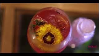 Experience Terrace — The Maiden Affair | Exclusive Event Promo by Jack of All