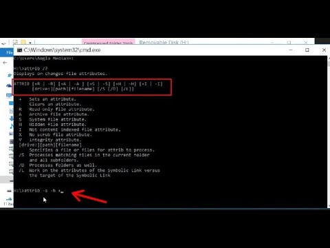 Video: Cara Menginstal dan Meningkatkan ke Kernel Baru di Linux Mint: 14 Langkah