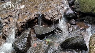 Tranquil Forest Stream – Pure Water Sounds for Deep Relaxation