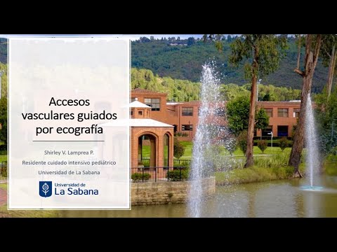 Accesos vasculares guiados por ecografia. (2/2). Curso Fisiología UCIP (2022 07 13).