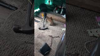 #creatorsjourney #memoriesmade #squirrel # #camplife #wildlife #smile