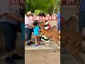 【衝撃の瞬間】鹿に蹴られる子供🦌奈良公園