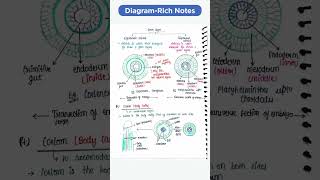 NEET Biology Topper's Handwritten Notes PDF 2025 | Crack NEET with Topper's Handwritten Notes