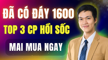 Thị Trường Xác Nhận Đáy 1600 Cơ Hội Vàng Cho 3 Cổ Phiếu Tăng Mạnh