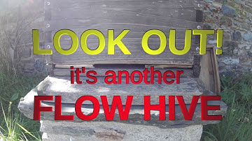 Oh No, Another Flow Hive!