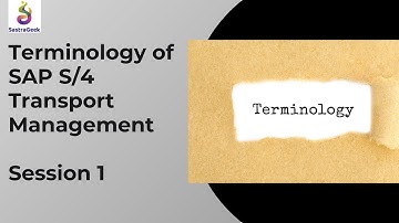 Terminology of SAP Transport Management
