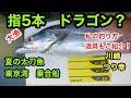 夏のタチウオ　東京湾　乗合船　釣れてます❗️餌・天秤の太刀魚　誘い方・簡単な釣り方　仕掛けもご紹介❗️電動リールで楽ちん釣法⁉️大漁の28匹　ドラゴンも⁉️