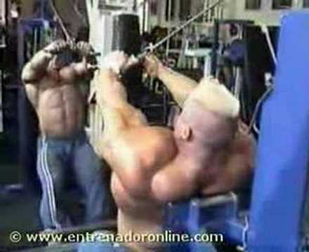 63. brazos-triceps-press-frances-ez-polea-bancoº-markus entrenamiento running