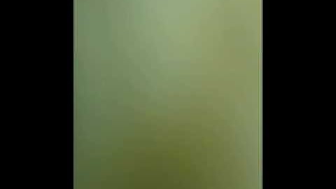 ماتيسر من سورة الانبياء صوت خالد الصفطاوي