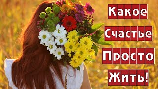 Божественная музыка!! Какое чудо просто жить!