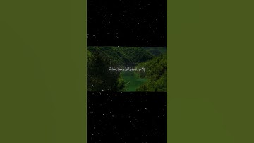 سورة مريم|59ـ60|القارئ:#محمد_اللحيدان #قران #quran #راحة_نفسية #قران_كريم #تلاوة_هادئة #تلاوة_خاشعة