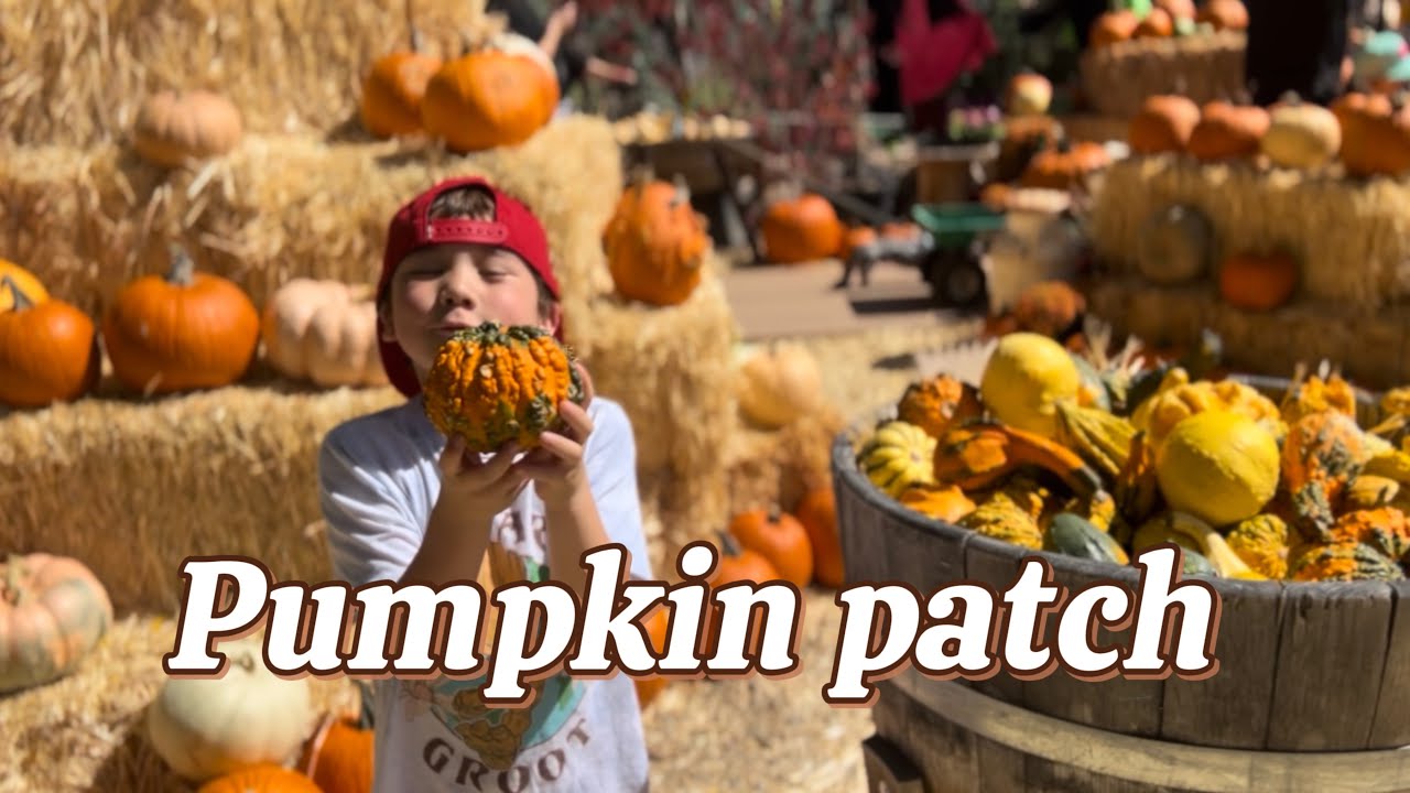 Enjoying FALL season Went to Viola’s Pumpkin Patch fall autumn 