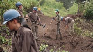 Conservation Corps and the National Forests