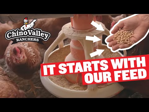 Chino Valley Ranchers – It Starts With Our Feed