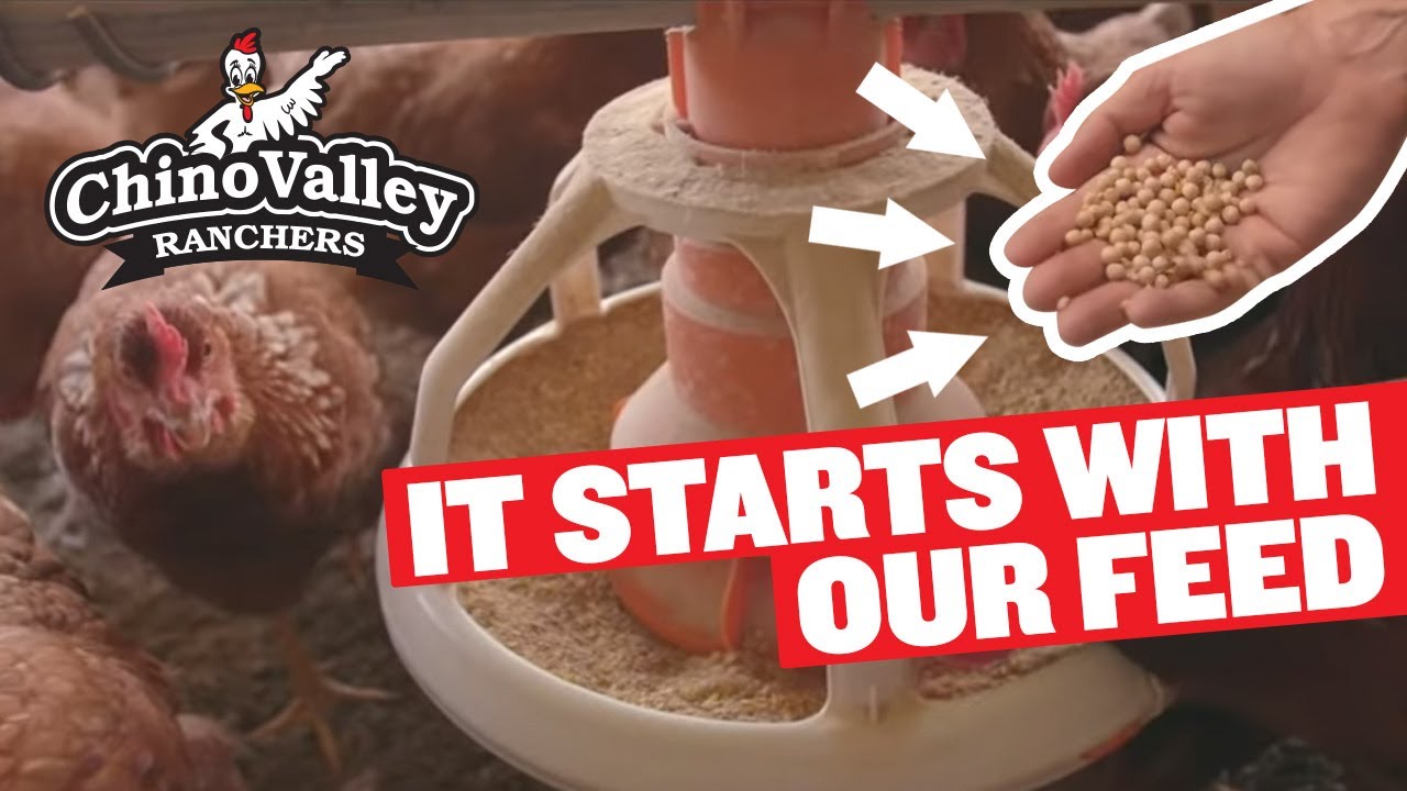 Chino Valley Ranchers – It Starts With Our Feed