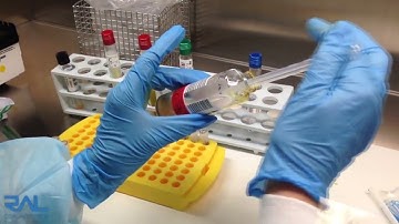 15 Reco TB smears fixation