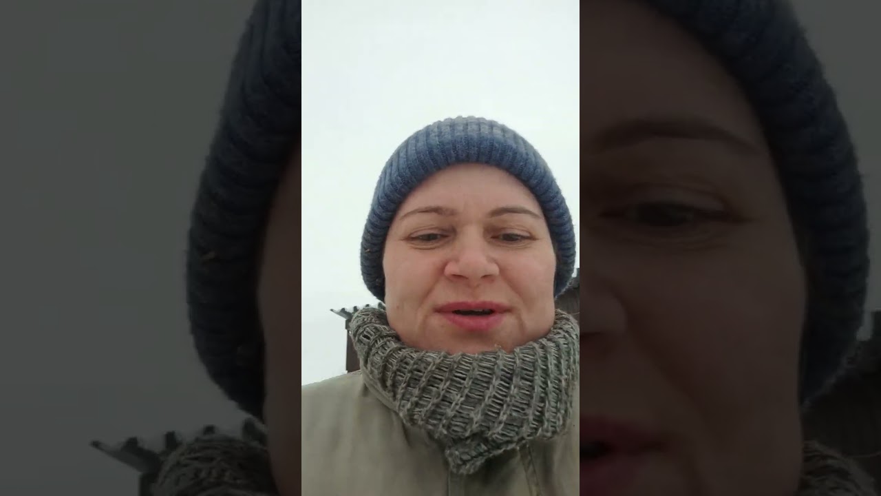 26.12.25.- 31.12.25.Кастрировали сабаку.Подготовка к Новому Году.