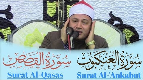 تلاوه قرآنيه تفوق الخياااال لحكمدار القراء الشيخ/محمود صابر من سورتي القصص والعنكبوت mp3