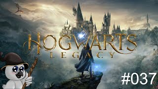 [LP Deutsch] Hogwarts Legacy #037: Flohnetzwerk erweitern.