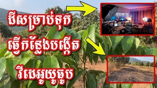 ដីខ្ញុំត្រៀមធ្វើខ្ទមសម្រាប់ការងារ YouTube #មេរៀនយូធូបមិនគិតថ្លៃ