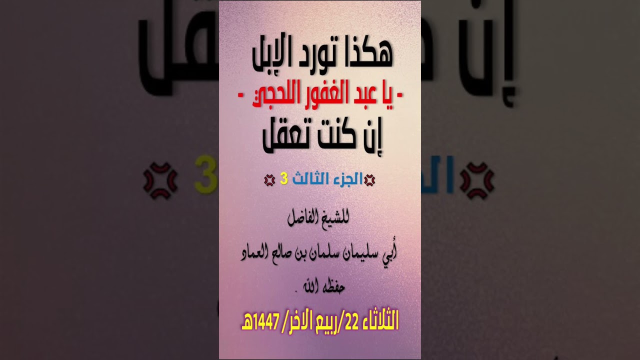 هكذا تورد الإبل يا عبد الغفور اللحجي إن كنت تعقل 03